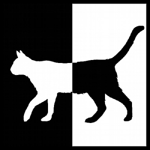 CCuanticosCursos